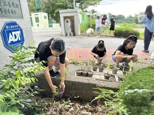 신전초 3~4학년, ‘팜프렌즈’로 꽃 심고 직접 가꾼 농작물도 판매 - 교육 | 시민의 눈