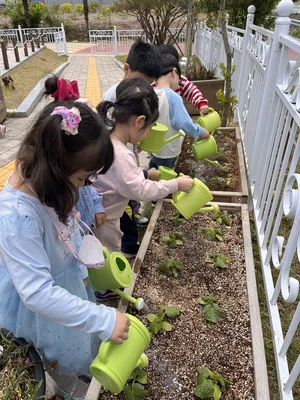 고흥푸른꿈유치원, 직접 키운 텃밭 작물로 함께하는 '쿠킹 어울림 Day'