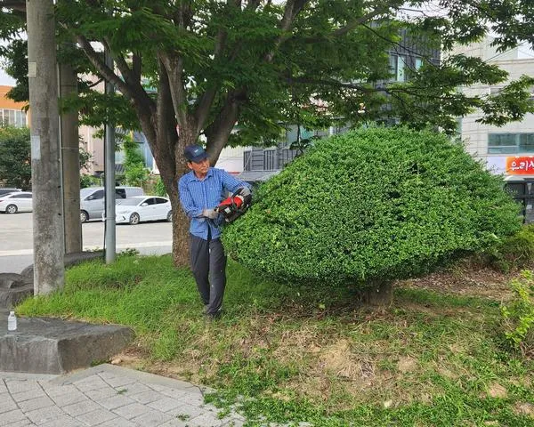 18년간 묵묵히 가든 나무 전정, 고향 위한 서복현 씨의 애향심