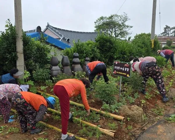 무안군 조암동마을, ‘으뜸마을’ 가꾸기로 활력 불어넣어