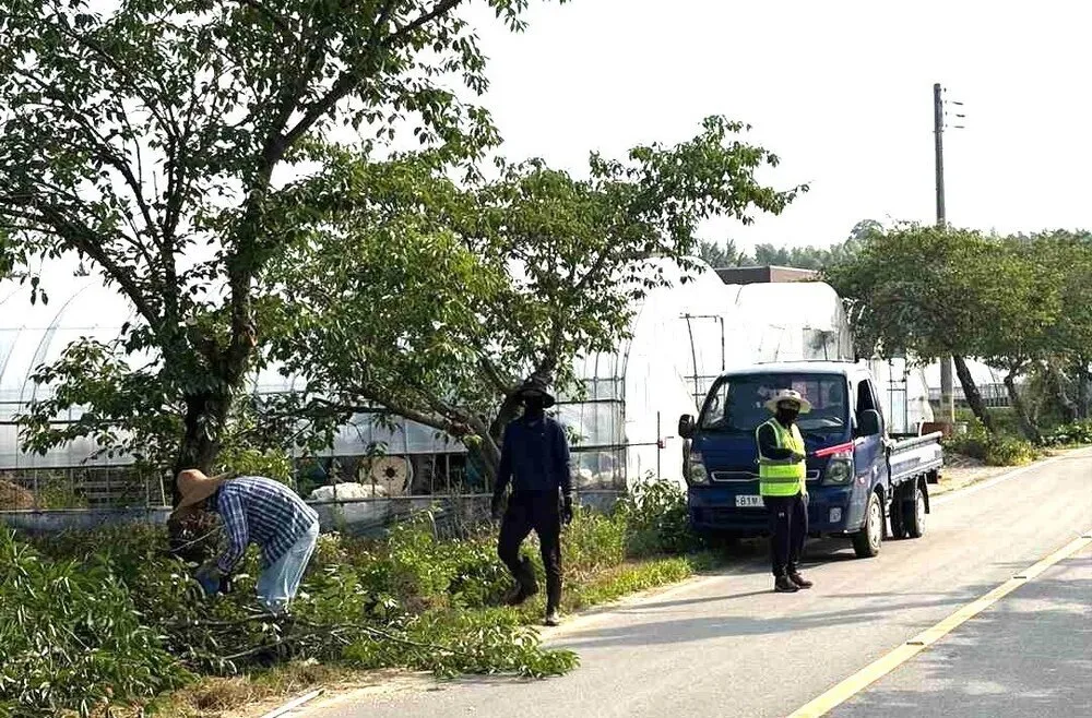 봉황면, 청년회와 함께 가로환경 대정비…‘아름다운 마을’ 도약