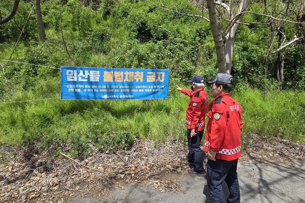 어린이날 연휴 산불 비상…나주시, 드론·단속반 총동원