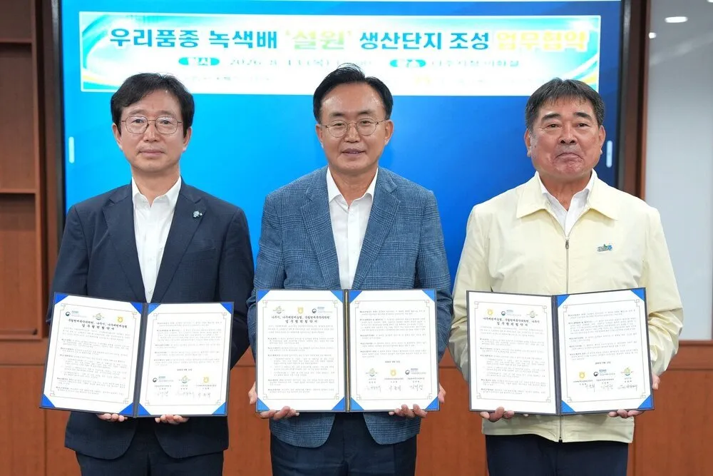 나주시, 기후변화 대응 신품종 녹색배 ‘설원’ 생산단지 조성