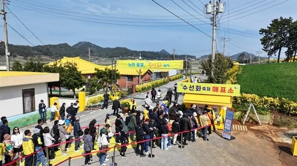 신안 '2026 섬 수선화 축제', 1만2천 명 동원하며 성료