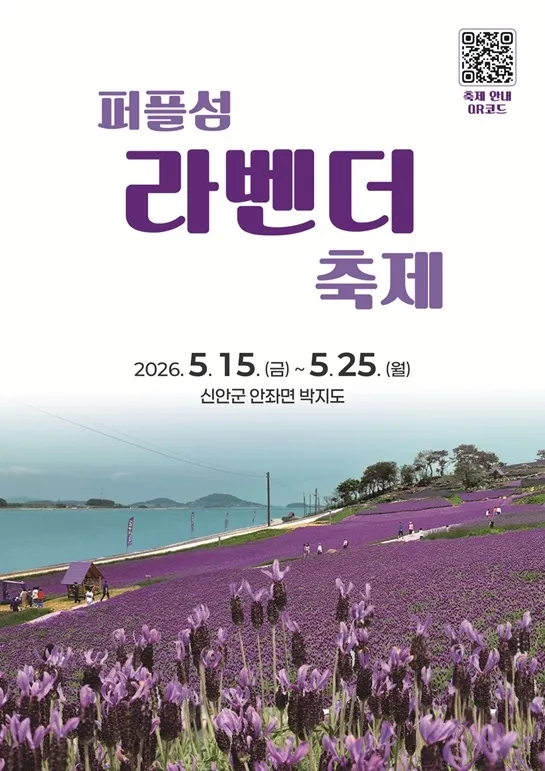 5월 퍼플섬, 전국 최대 ‘프렌치 라벤더 축제’ 개최