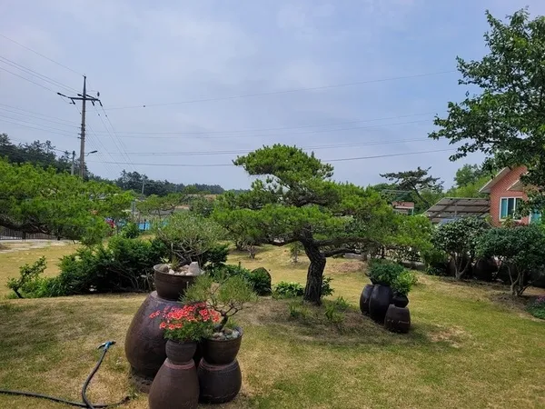 정원 가꾸면 수도료 30% 깎아준다…신안군 ‘1섬 1정원’ 호응