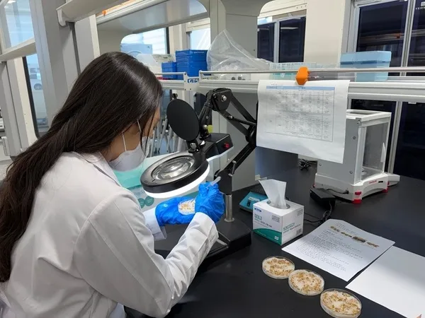 신안군, 2025년산 벼 종자 발아율 사전 확인 당부