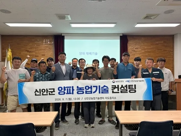 신안군, 양파 농가 대상 기술 컨설팅으로 2027년산 안정 생산 나선다 - 경제 | 코리아NEWS