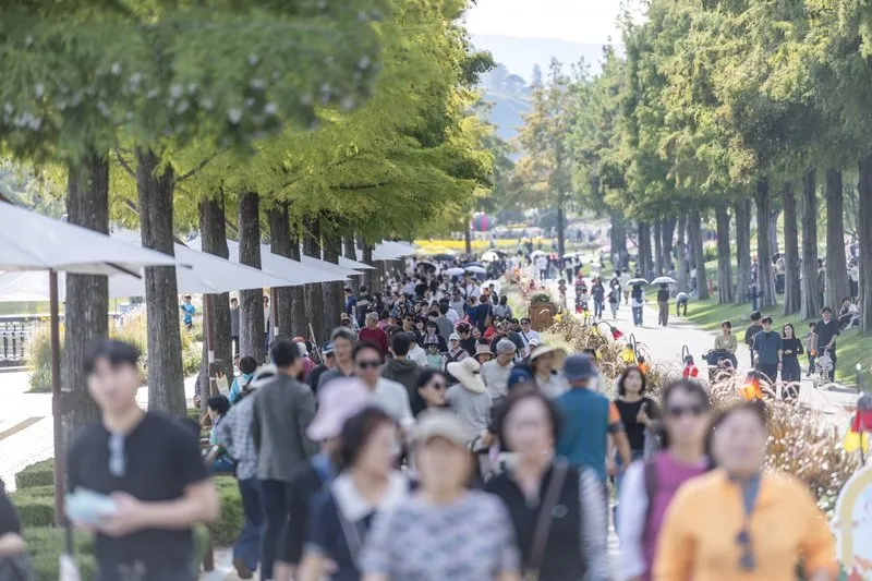 순천만국가정원, 3년 연속 300만 관람객 돌파…생태관광 위상 입증