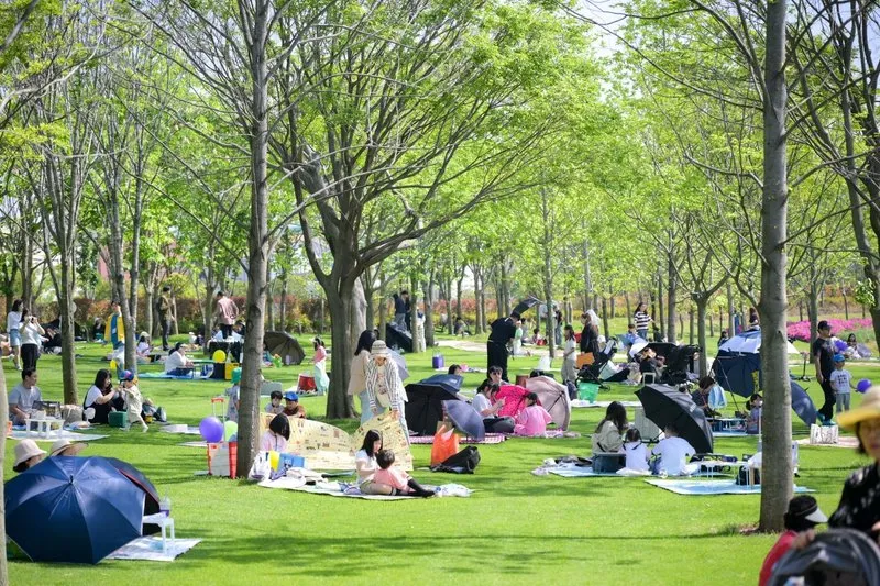 순천시, 임신·출산부터 양육까지…생애주기별 촘촘한 지원 강화 - 복지 | 코리아NEWS