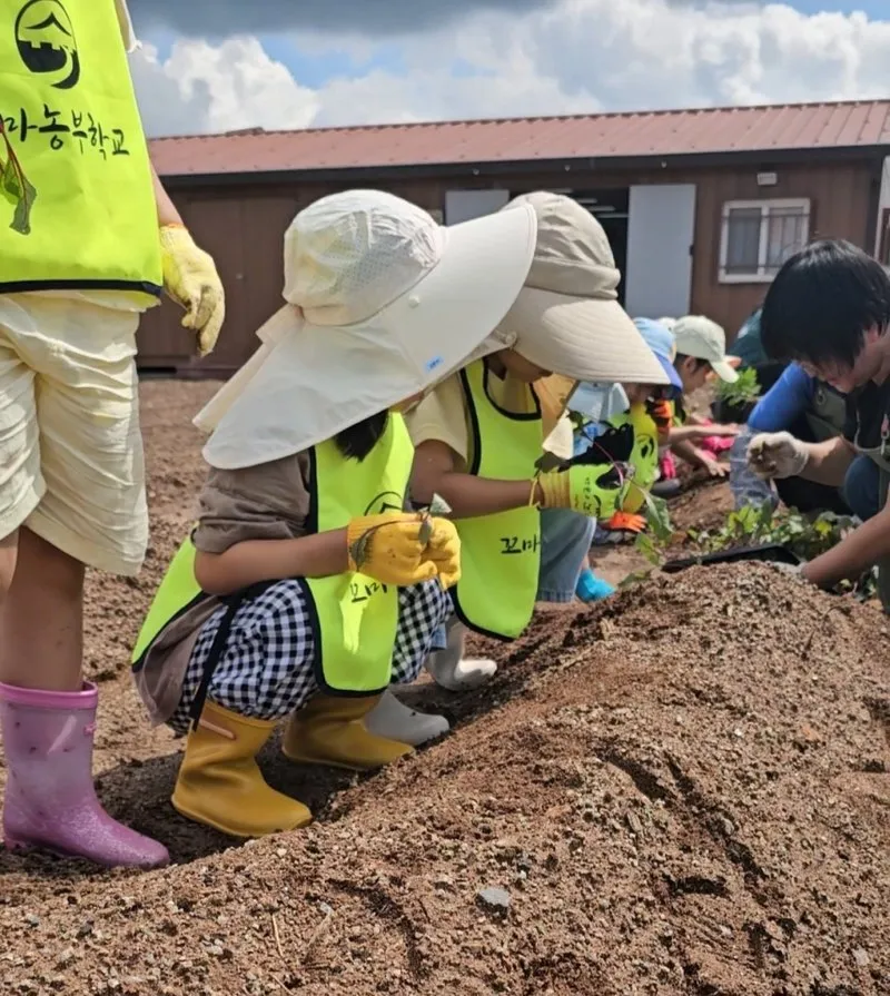 순천시, 신대도시텃밭서 가족·어린이 가을텃밭 체험 운영 - 경제 | 코리아NEWS