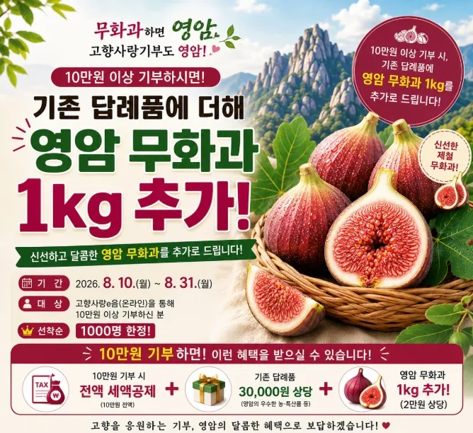 선착순 1,000명…영암군, 기부하면 무화과 1kg ‘대방출’ - 경제 | 코리아NEWS
