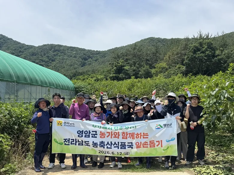 전남도 직원, 영암 감 농가 찾아 농촌 일손 돕는 ‘손길’