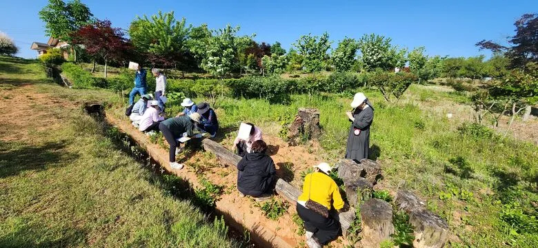 도갑사 템플스테이로 떠나는 영암 사계 인문학교 '여름'