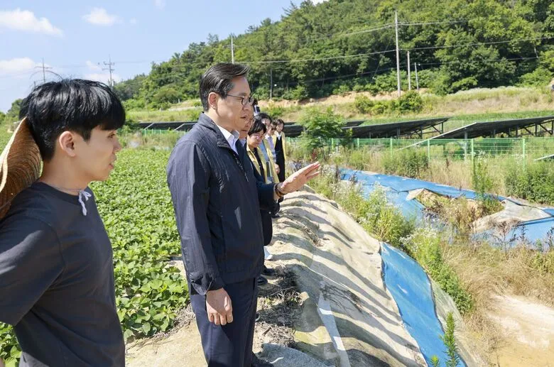 영암군, 장마철 대비 고구마 밭 침사지 점검