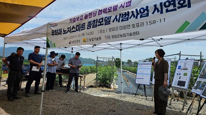 영암군, 기후변화 대응 '무화과 스마트 재배기술' 공개