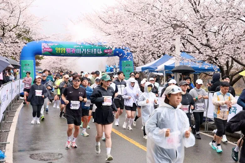 영암 벚꽃마라톤, 3,500명 뛰며 왕인문화축제 '시동'