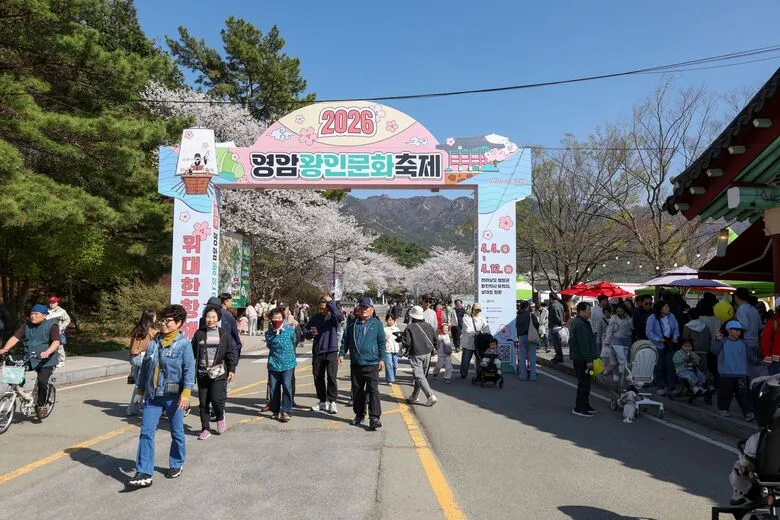 영암 왕인축제 둘째 날, 벚꽃 속 역대급 인파... 북적