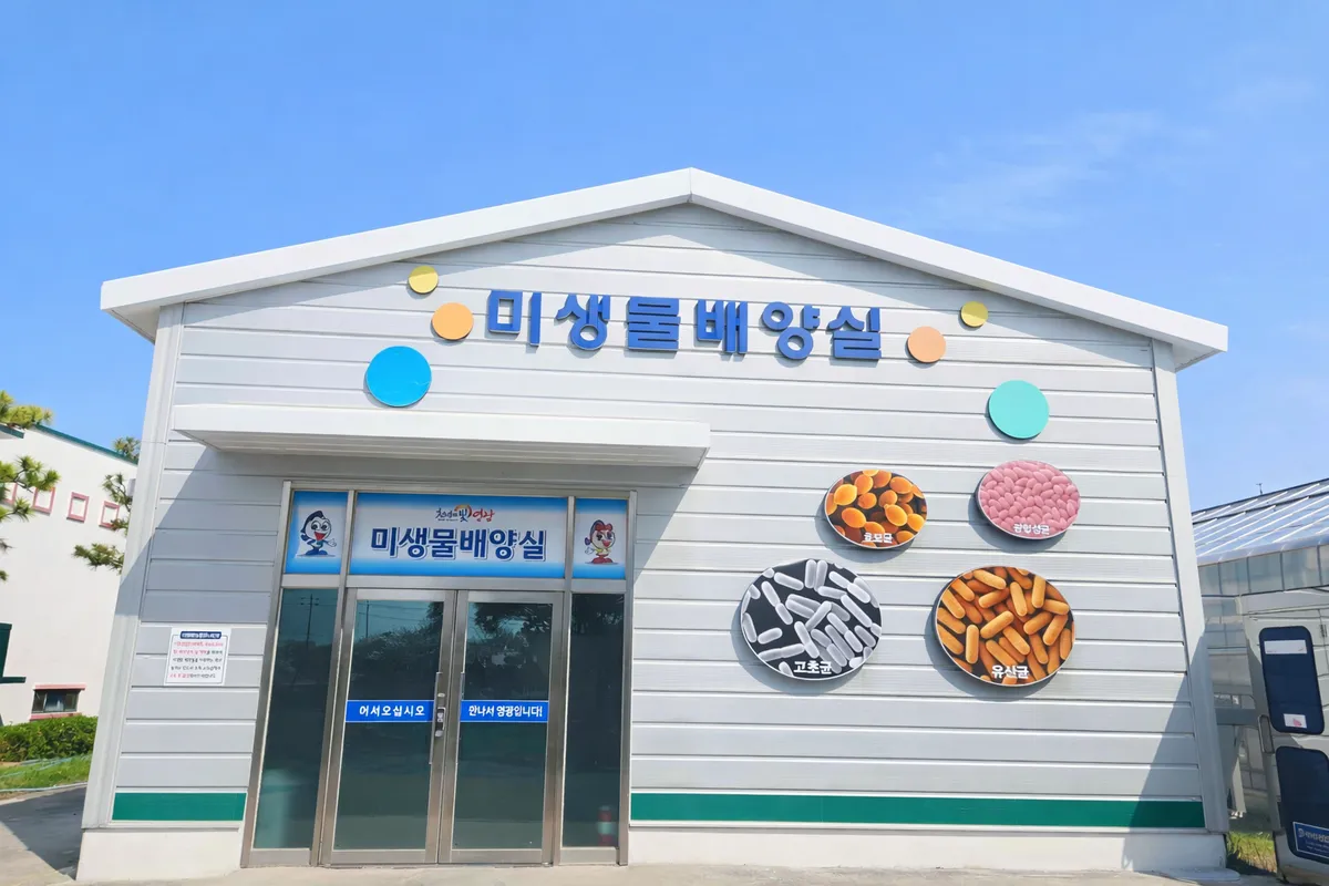 영광군, 고추 육묘 농가에 ‘유용미생물’ 무상 지원…친환경 농업 강화
