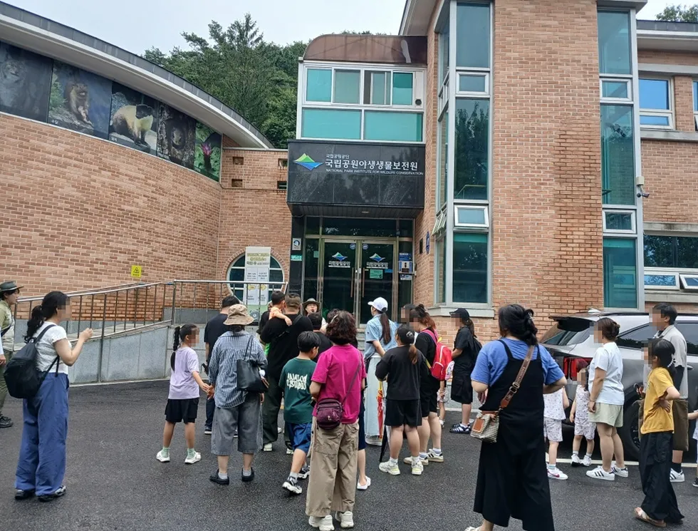 여수 드림스타트, 지리산에서 ‘반달가슴곰’과 함께하는 생체 체험 - 환경 | 코리아NEWS