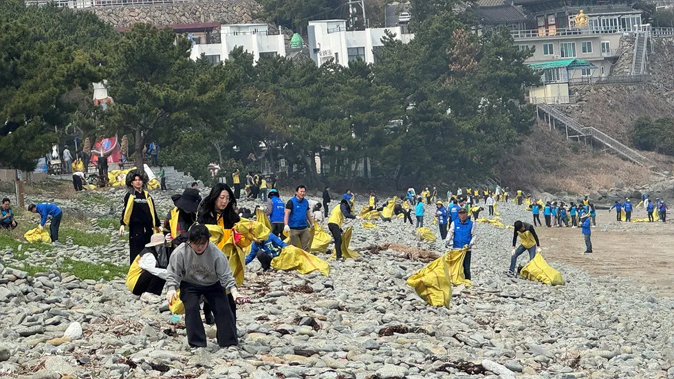 여수시, 2026세계섬박람회 성공 기원…해안가 대청결운동 전개 - 행정 | 코리아NEWS