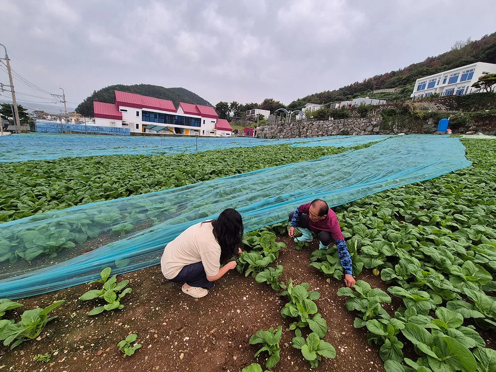 여수시 신규농업인 현장실습교육 완료…선도농가 멘토링